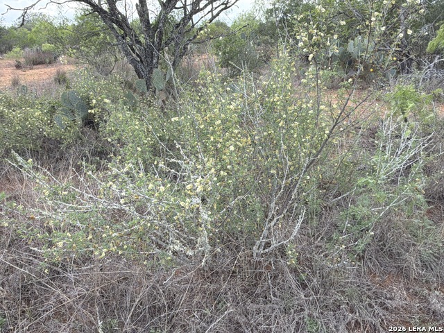 Listing photo id 2 for 3980 Highway 173