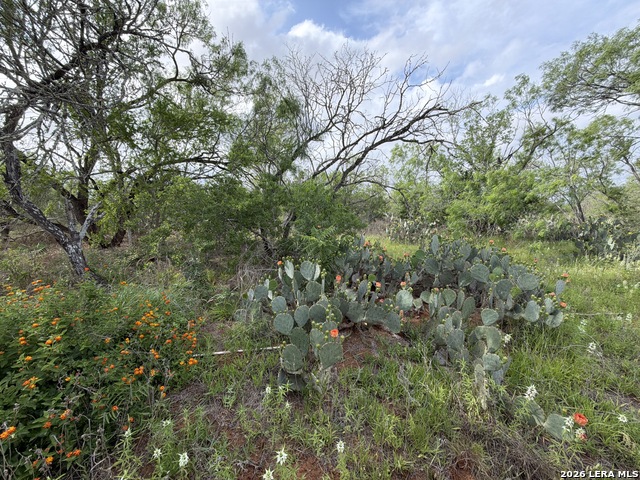 Listing photo id 3 for 3980 Highway 173