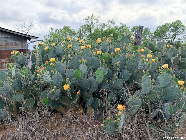 Listing photo id 4 for 3980 Highway 173