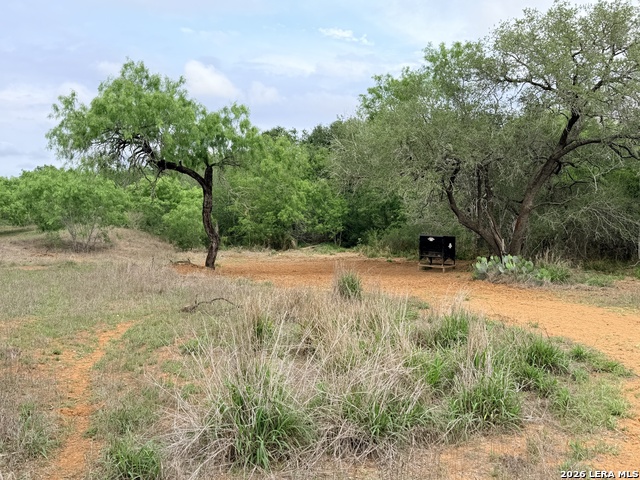 Listing photo id 6 for 3980 Highway 173