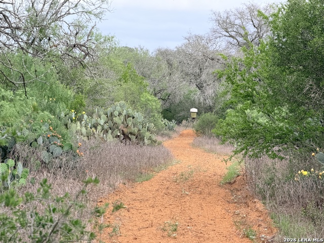 Listing photo id 7 for 3980 Highway 173