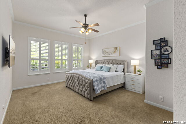 Image 17 of 46 For 11823 Newton Trail