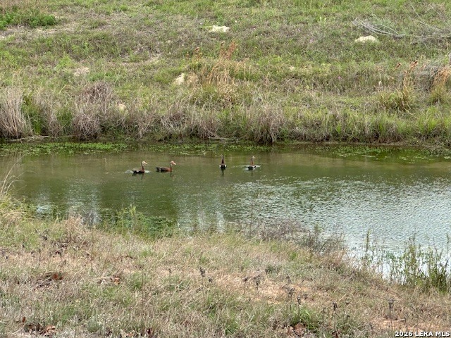 Image 23 of 33 For 412 Lake  