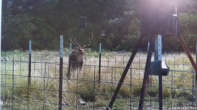 Details for 2190 Cr 650  , Rocksprings, TX 78880