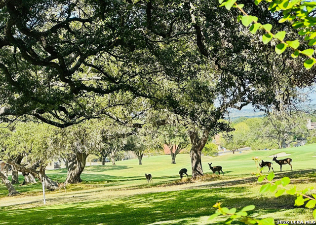 Image 2 of 25 For 29342 Ridgeview