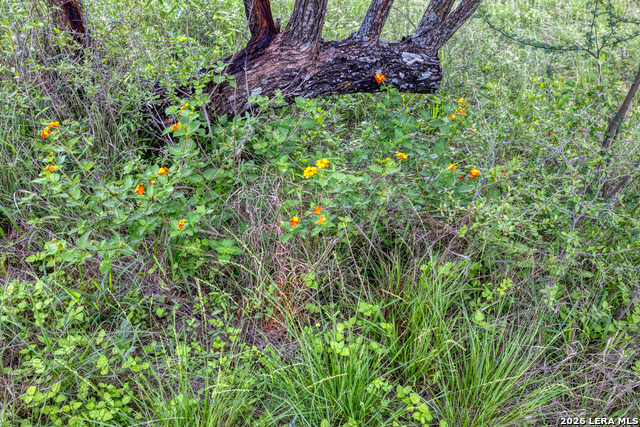 Image 23 of 34 For 607 Fm 1050  