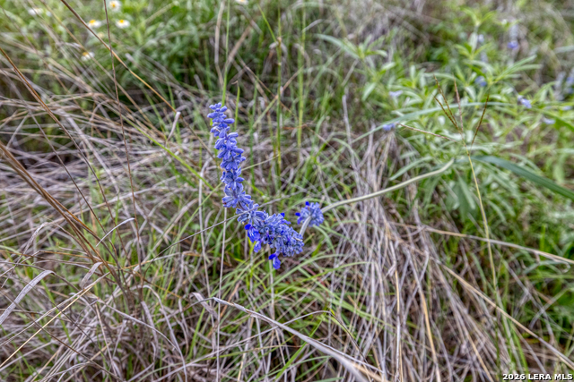 Image 24 of 34 For 607 Fm 1050  