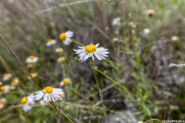 Image 25 of 34 For 607 Fm 1050  