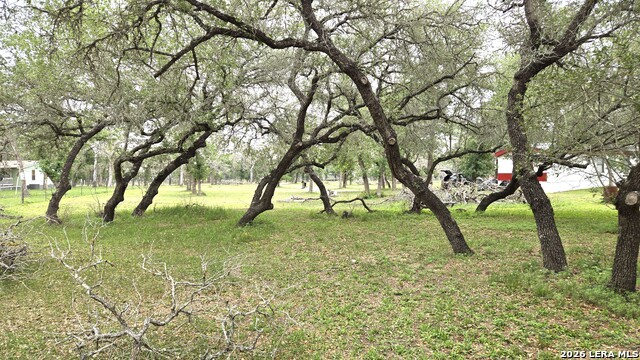 Image 12 of 31 For 318 Shady Oaks