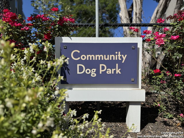 Image 31 of 32 For 5843 Whitby Rd  17