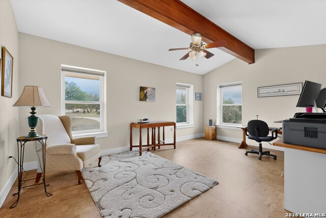 Image 50 of 74 For 3263 Palomino Spgs