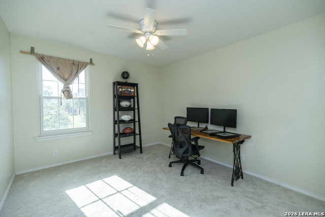 Image 28 of 48 For 414 Eastern Phoebe