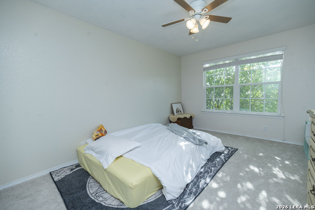 Image 30 of 48 For 414 Eastern Phoebe