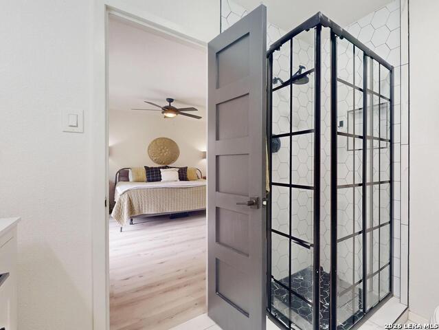 Image 24 of 41 For 215 Trafalgar Rd