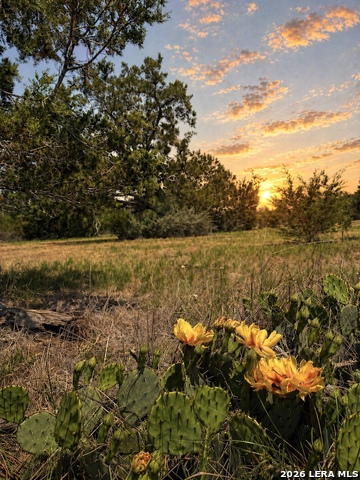 Details for 174 Waterman Ln, Pipe Creek, TX 78063