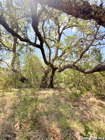 Image 15 of 25 For 174 Waterman Ln