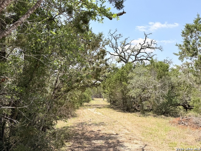 Image 20 of 25 For 174 Waterman Ln