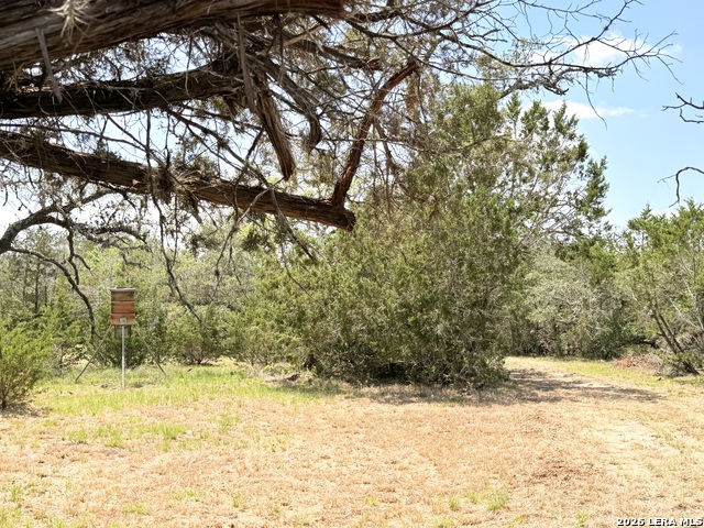 Image 21 of 25 For 174 Waterman Ln