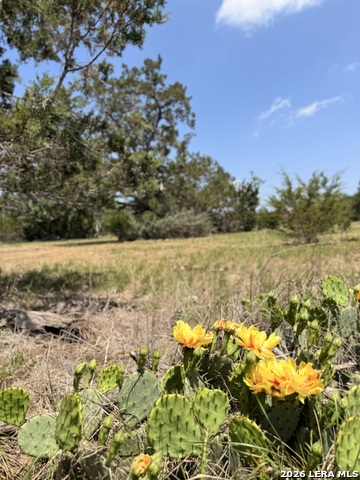 Image 22 of 25 For 174 Waterman Ln