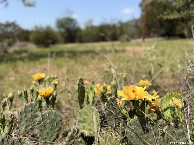 Image 24 of 25 For 174 Waterman Ln