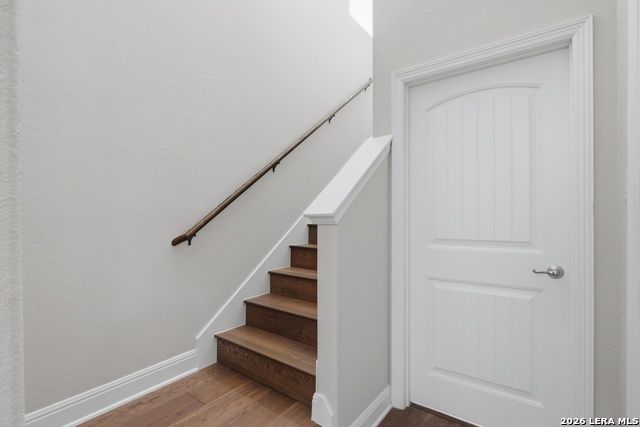 Image 35 of 56 For 12519 Lexi Petal