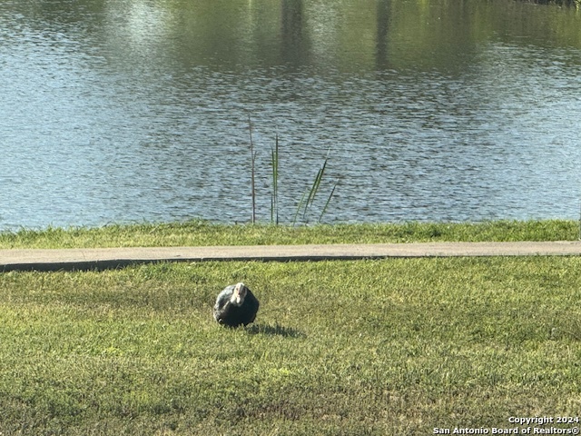 Image 32 of 33 For 1242 Big Lk  