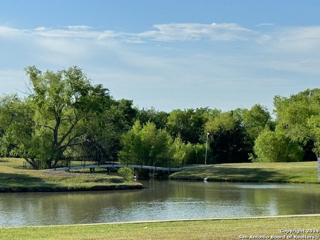 Image 33 of 33 For 1242 Big Lk  