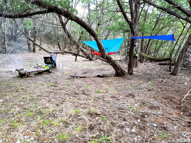 Image 10 of 26 For 701 Goat S 