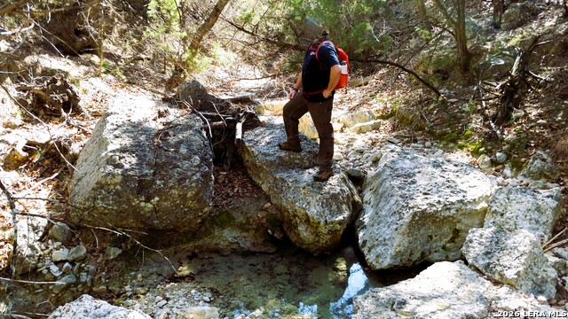 Image 11 of 26 For 701 Goat S 