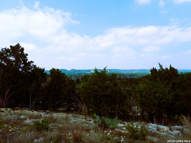 Image 16 of 26 For 701 Goat S 