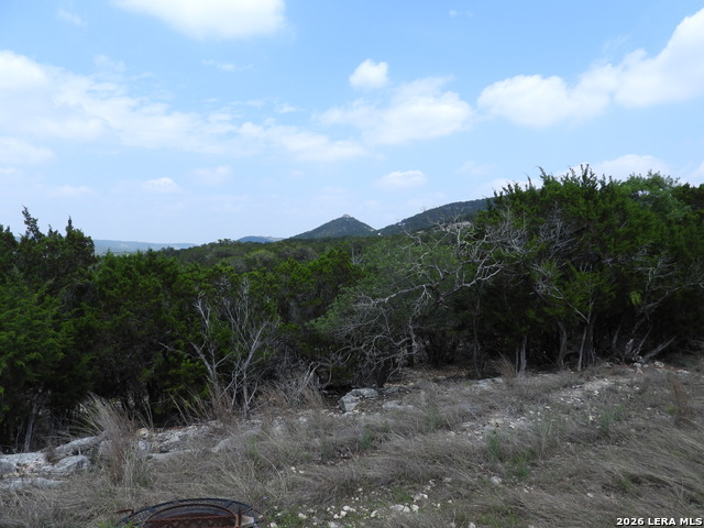 Image 17 of 26 For 701 Goat S 