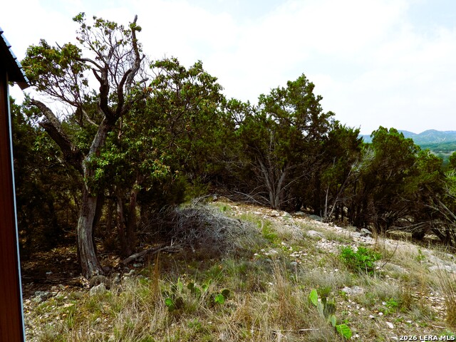 Image 19 of 26 For 701 Goat S 