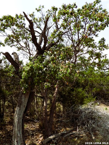 Image 20 of 26 For 701 Goat S 