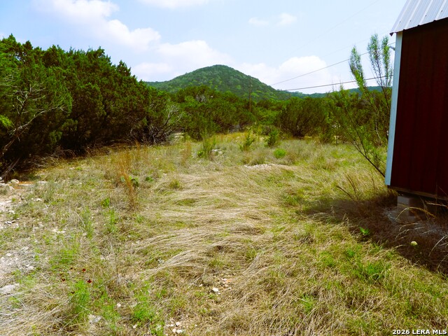 Image 23 of 26 For 701 Goat S 