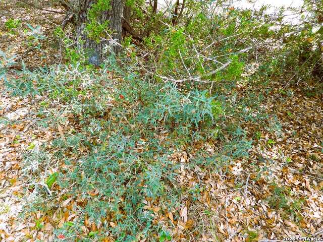 Image 26 of 26 For 701 Goat S 