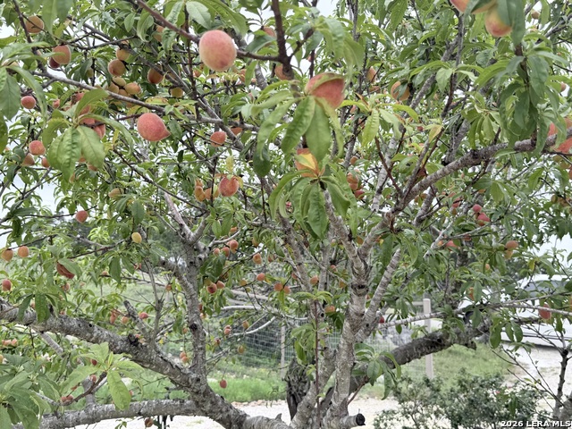 Listing photo id 1 for 180 County Road 2750