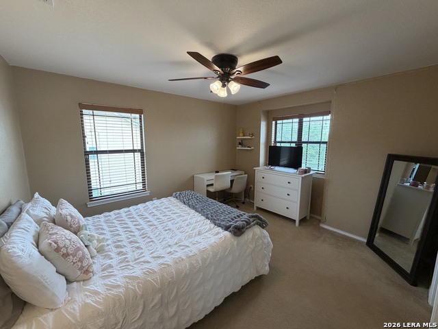 Image 29 of 32 For 1303 Osnats  