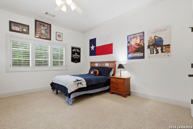 Image 31 of 50 For 82 Champion Clf