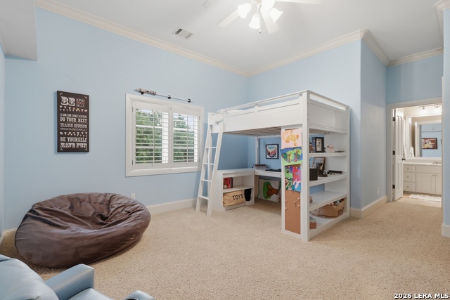 Image 34 of 50 For 82 Champion Clf