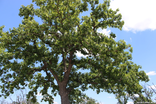 Details for 132 Pack Saddle Ln, Fredericksburg, TX 78624