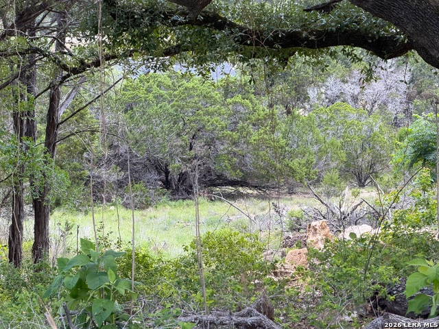 Details for 273 Scenic Dr., Canyon Lake, TX 78133
