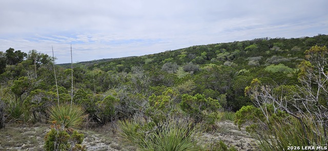Details for 21207 Scenic Loop, Helotes, TX 78023