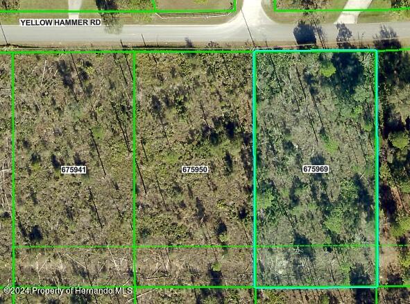 Details for 0 Yellow Hammer Road, WEEKI WACHEE, FL 34614