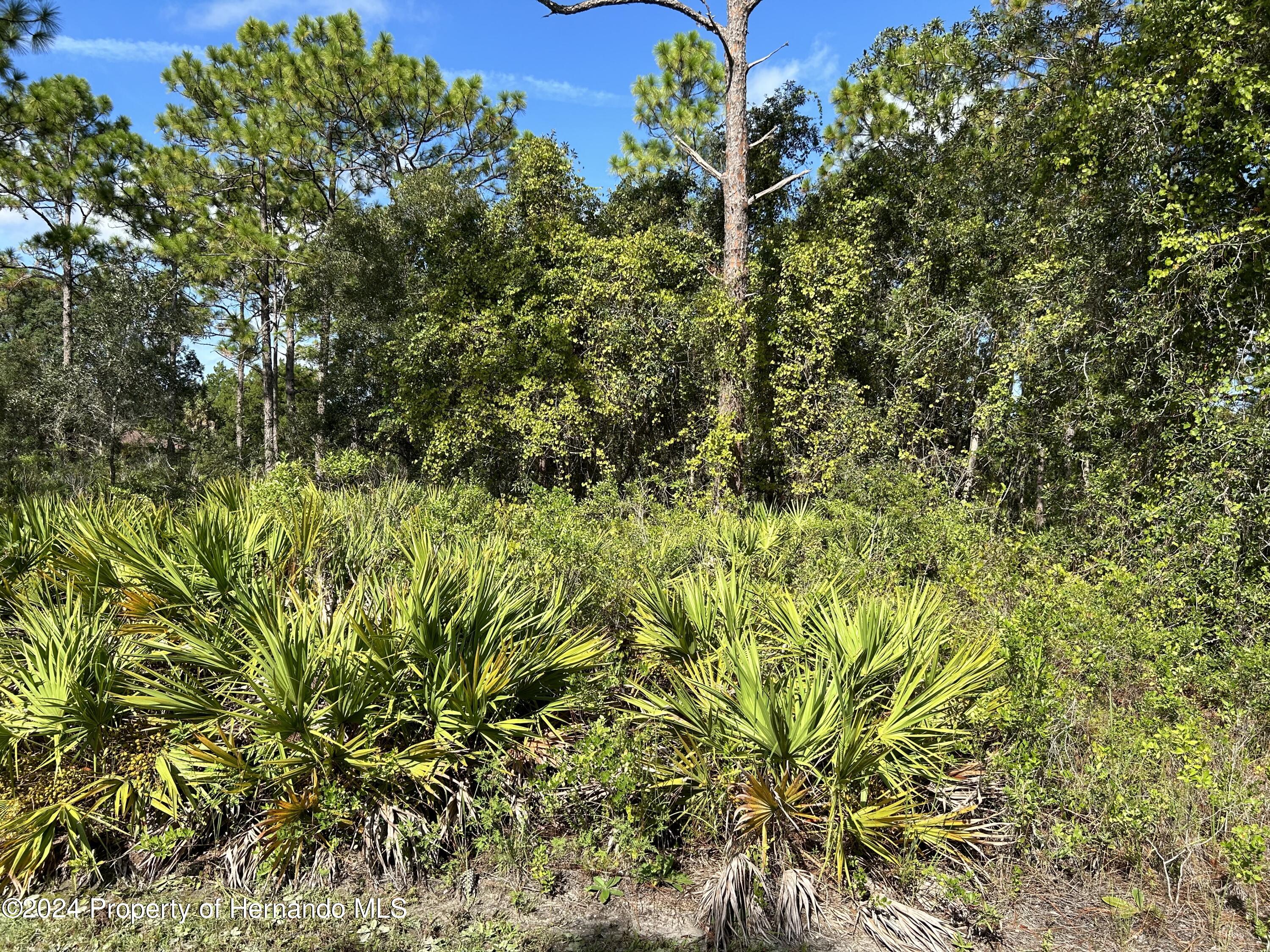 Details for Lot 9 Parrot Road, WEEKI WACHEE, FL 34614