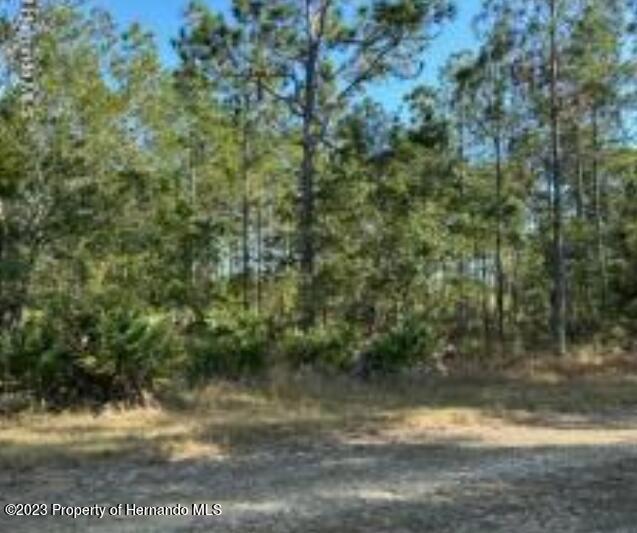 Details for 0 Quinton Lot 2 Road, WEEKI WACHEE, FL 34614