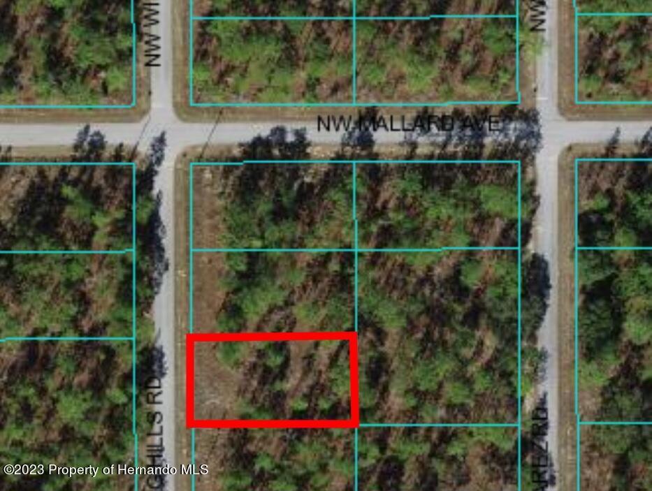 Details for 0 Sw Winding Hills Road, Dunnellon, FL 34431