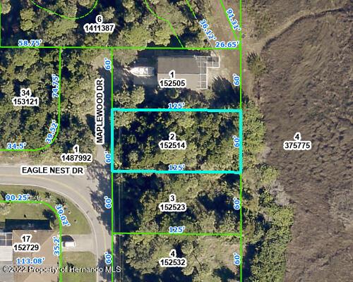 Listing Details for 00 Maplewood Drive, Hernando Beach, FL 34607