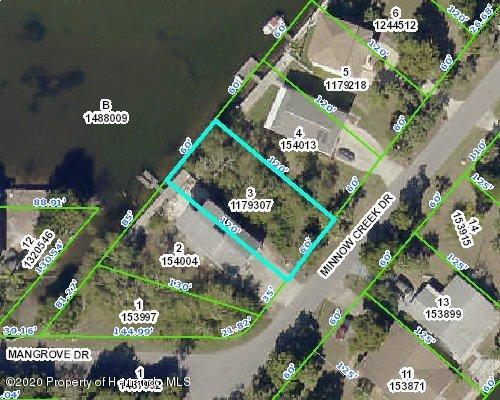 Details for 00 Minnow Creek (lot 3), Hernando Beach, FL 34607