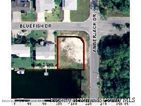 Listing Details for 4064 Bluefish Drive, Hernando Beach, FL 34607