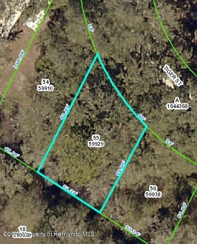 Details for 0 Tiger Street, Ridge Manor, FL 33523